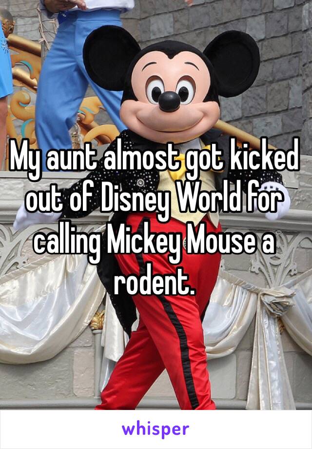 My aunt almost got kicked out of Disney World for calling Mickey Mouse a rodent.