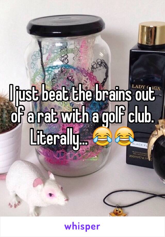 I just beat the brains out of a rat with a golf club. Literally... 😂😂