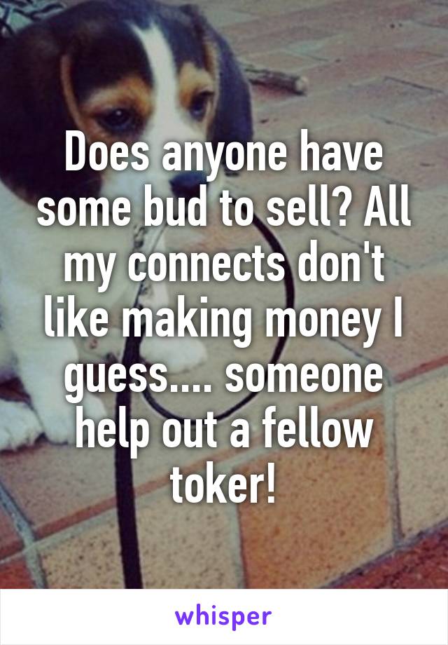 Does anyone have some bud to sell? All my connects don't like making money I guess.... someone help out a fellow toker!