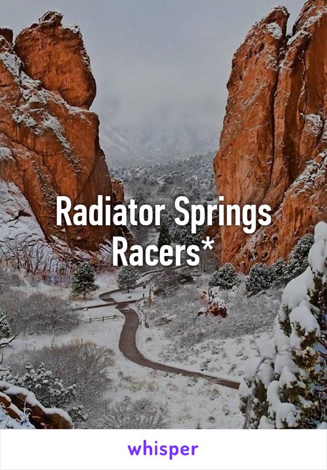 Radiator Springs Racers*