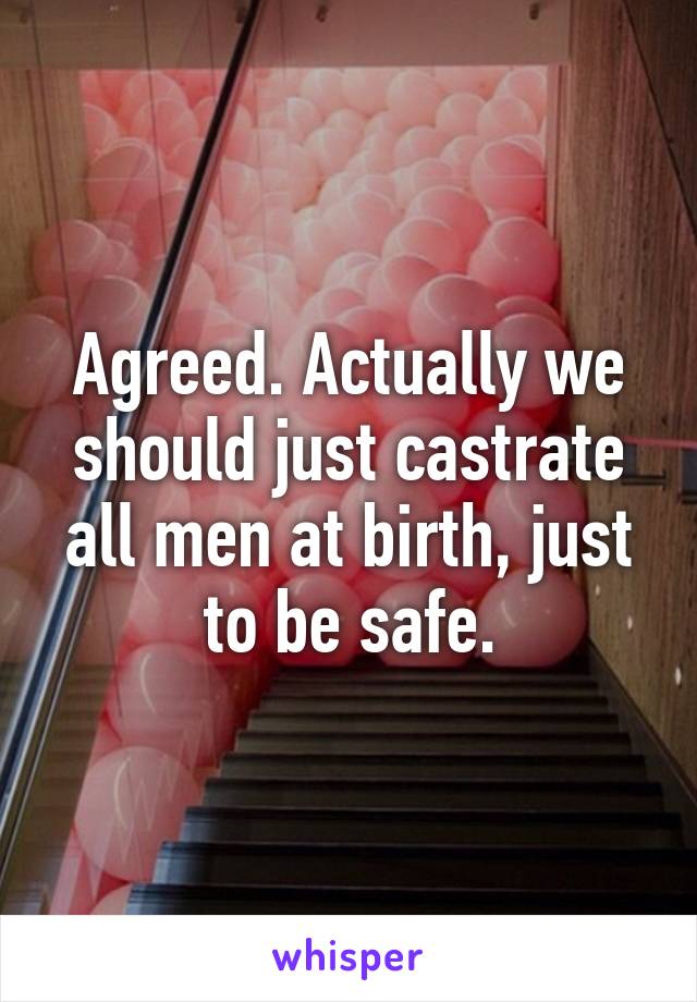 Agreed. Actually we should just castrate all men at birth, just to be safe.