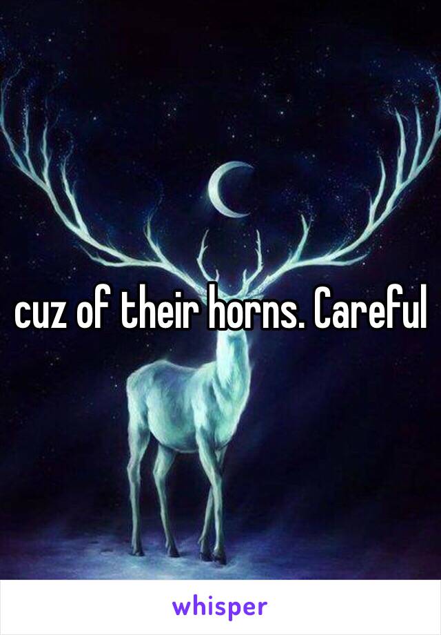 cuz of their horns. Careful