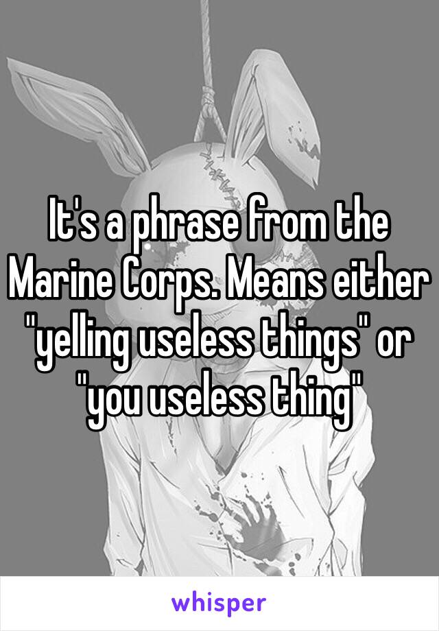 It's a phrase from the Marine Corps. Means either "yelling useless things" or "you useless thing"