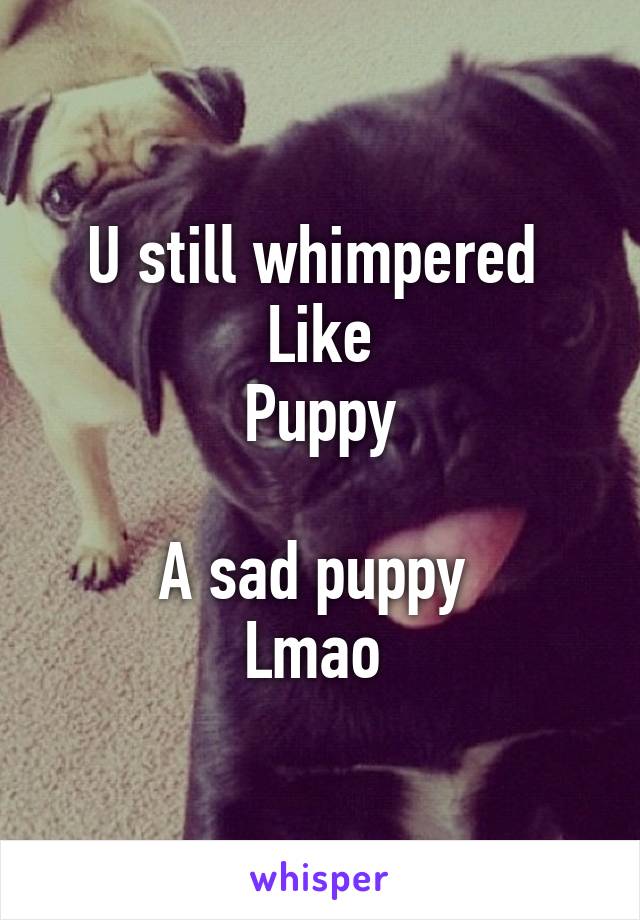 U still whimpered 
Like
Puppy

A sad puppy 
Lmao 