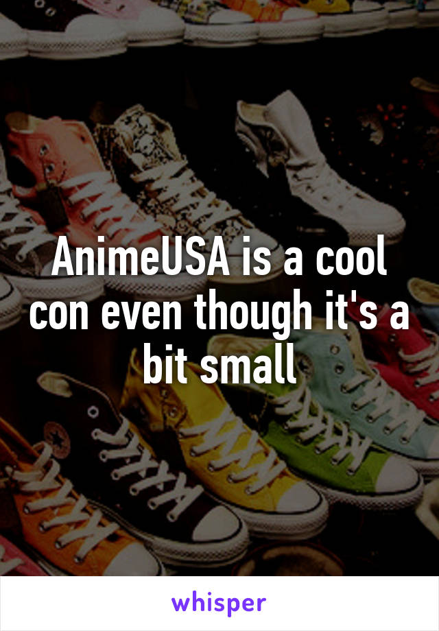 AnimeUSA is a cool con even though it's a bit small