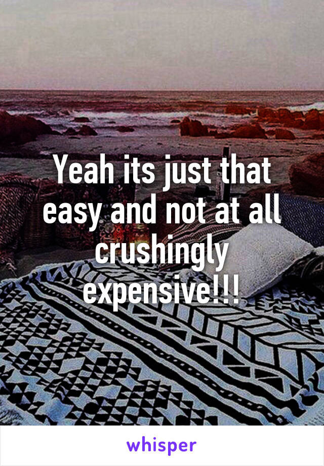 Yeah its just that easy and not at all crushingly expensive!!!