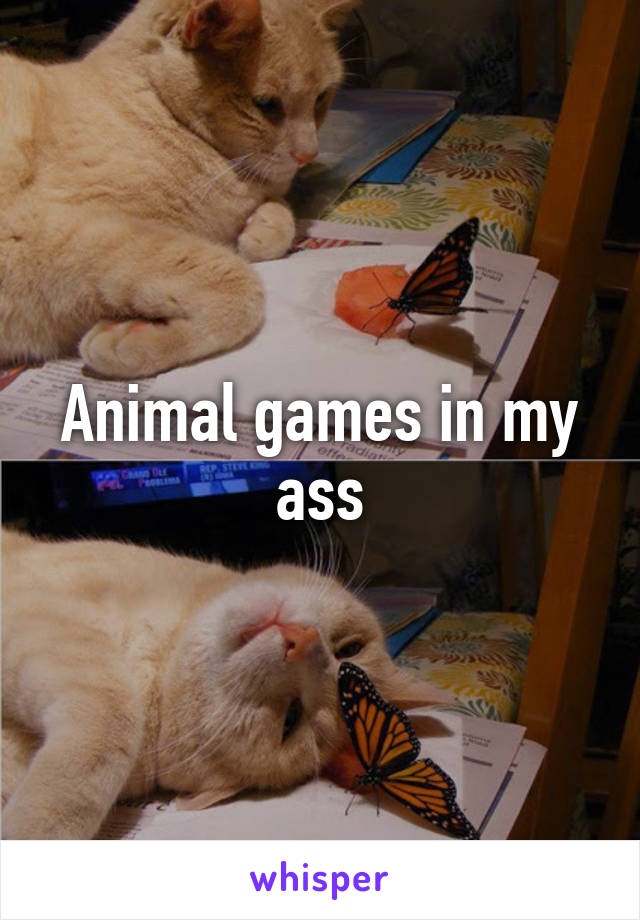 Animal games in my ass