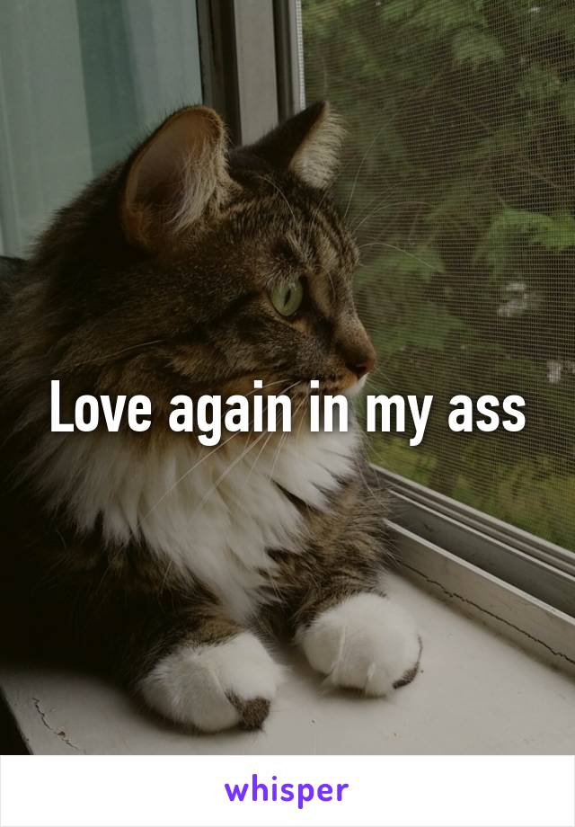 Love again in my ass