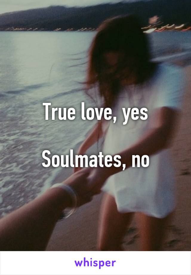 True love, yes

Soulmates, no