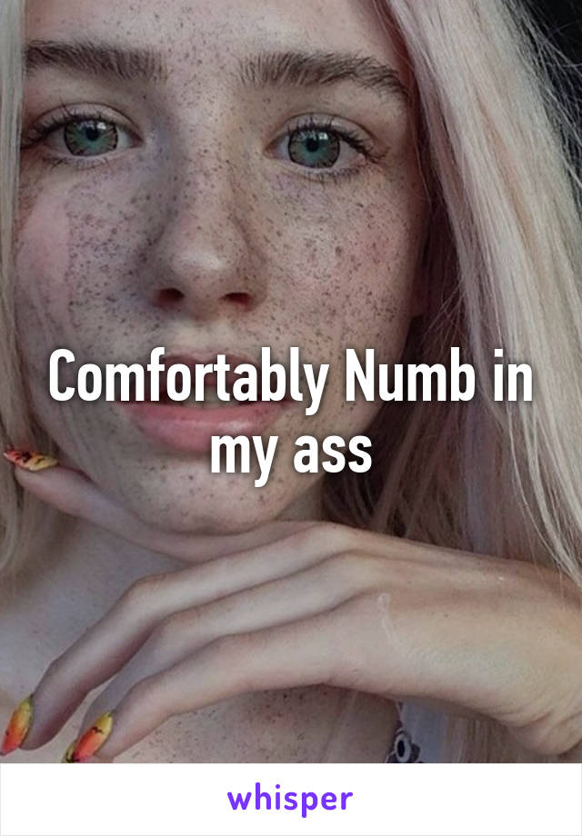 Comfortably Numb in my ass