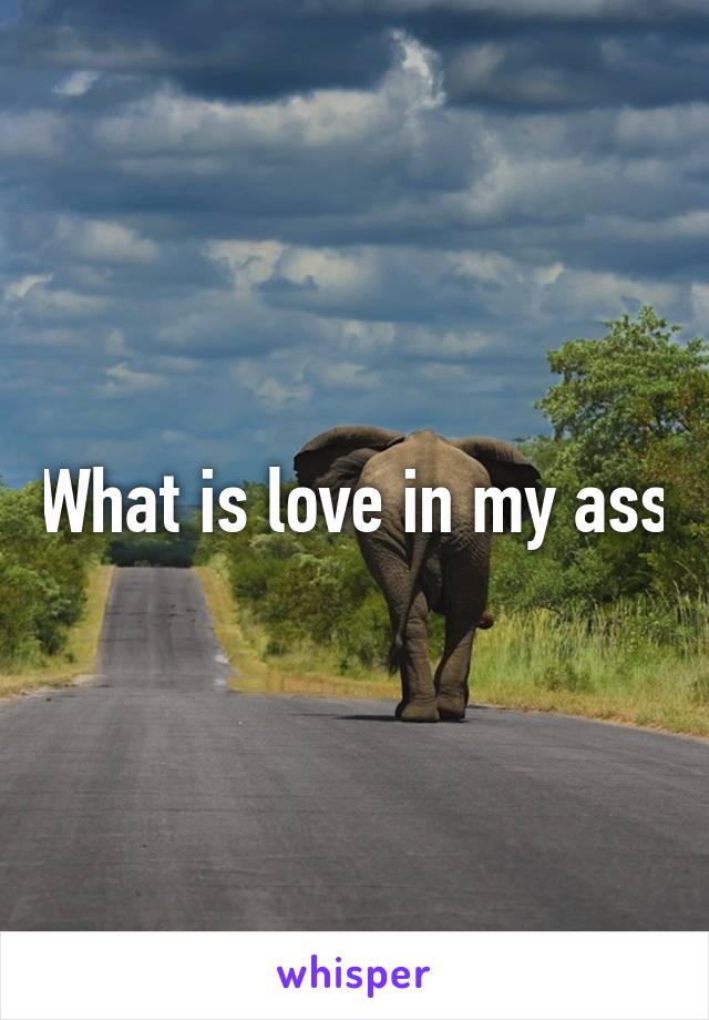 What is love in my ass