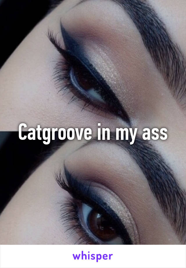 Catgroove in my ass