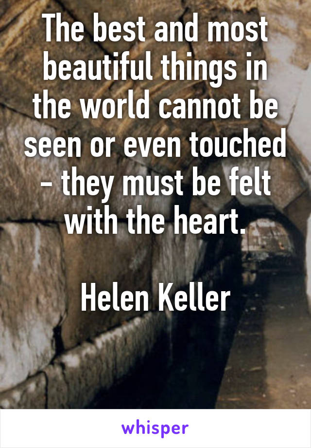 The best and most beautiful things in the world cannot be seen or even touched - they must be felt with the heart.

Helen Keller



