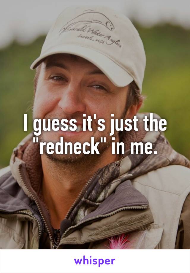 I guess it's just the "redneck" in me.