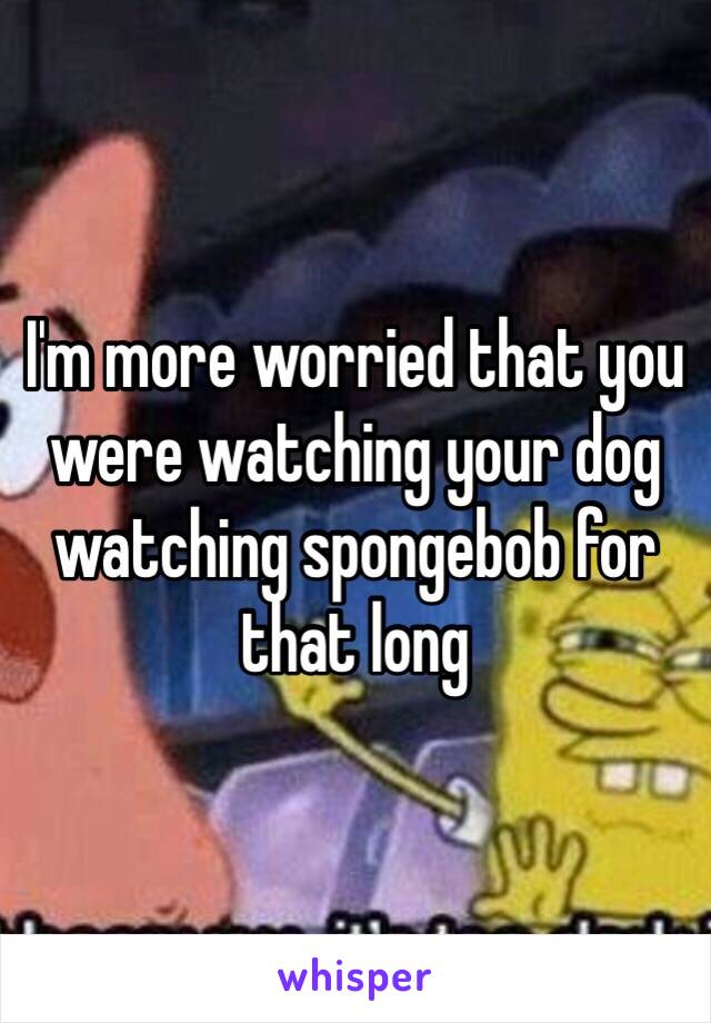 I'm more worried that you were watching your dog watching spongebob for that long 