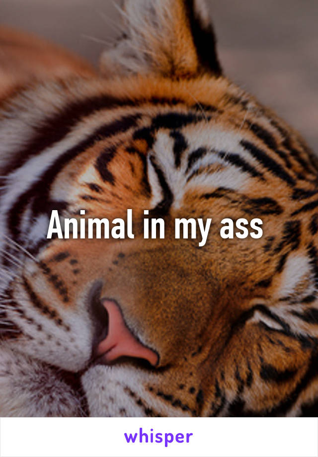 Animal in my ass 