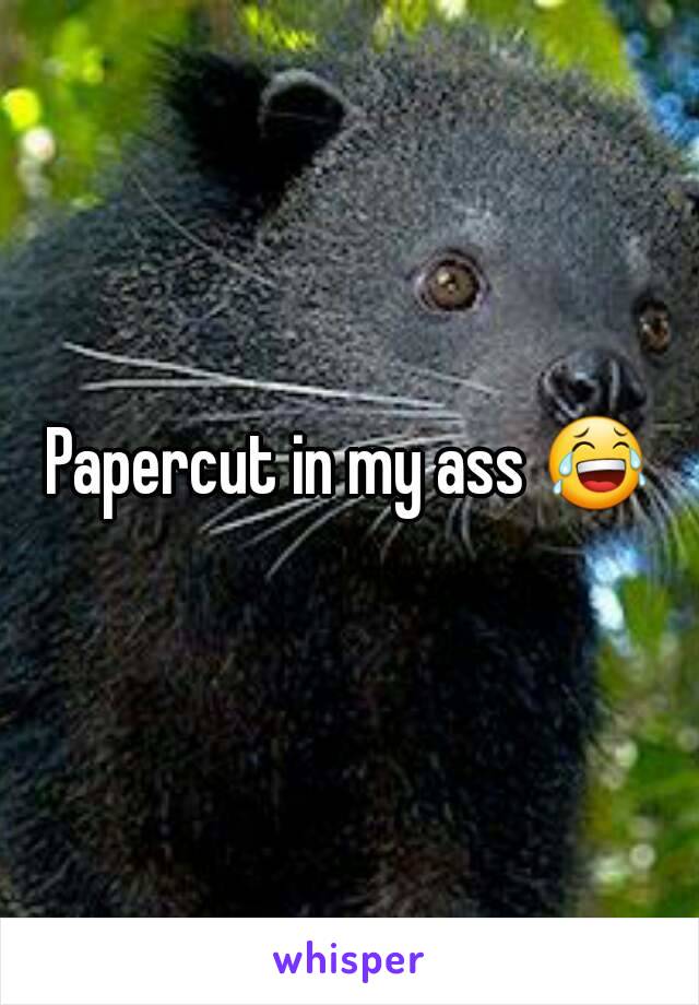 Papercut in my ass 😂