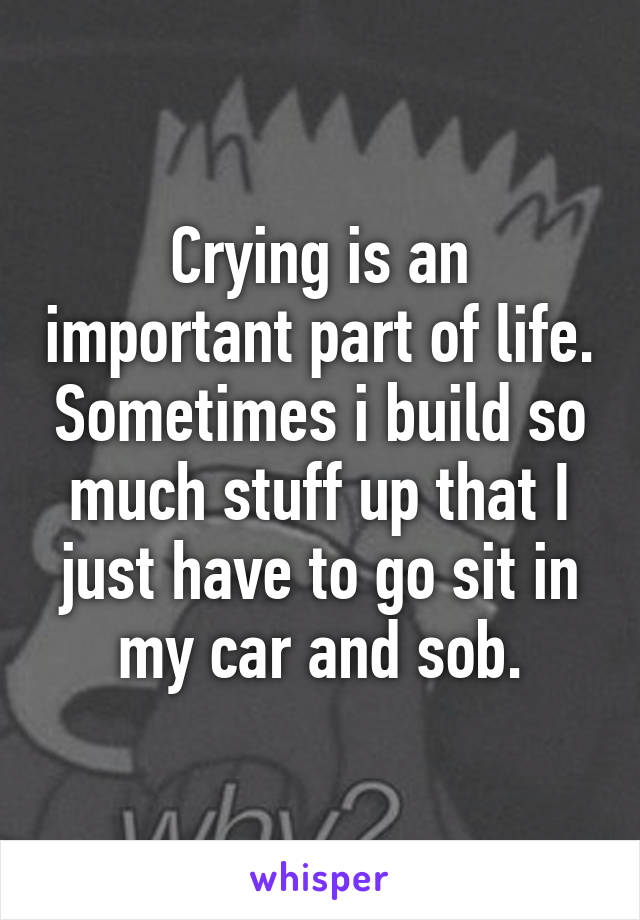 Crying is an important part of life. Sometimes i build so much stuff up that I just have to go sit in my car and sob.