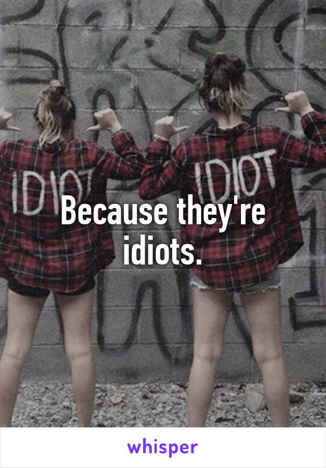 Because they're idiots.