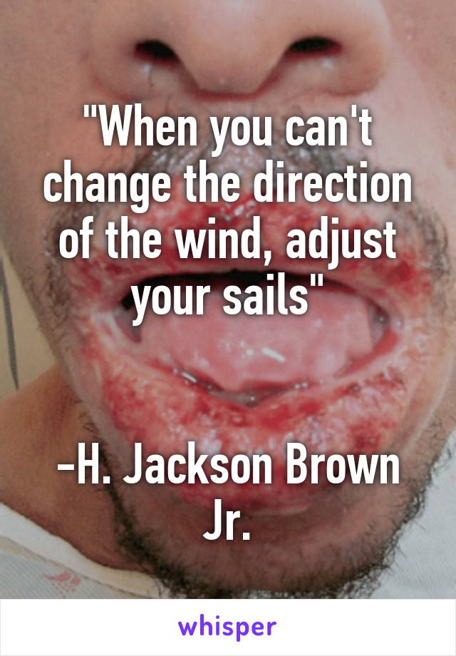 "When you can't change the direction of the wind, adjust your sails"


-H. Jackson Brown Jr.