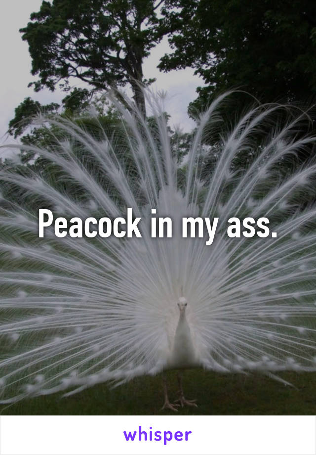 Peacock in my ass.