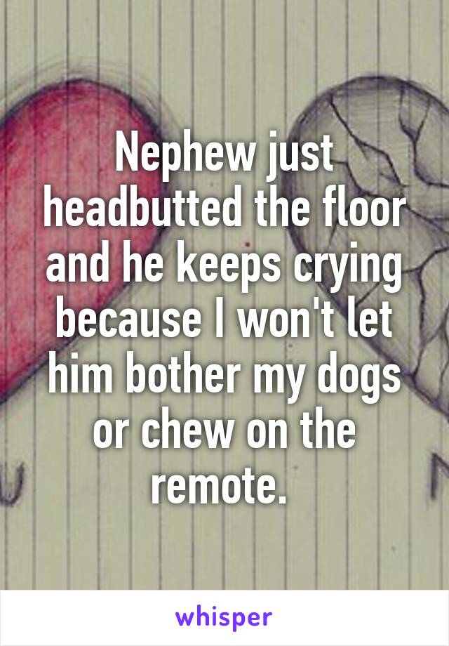 Nephew just headbutted the floor and he keeps crying because I won't let him bother my dogs or chew on the remote. 