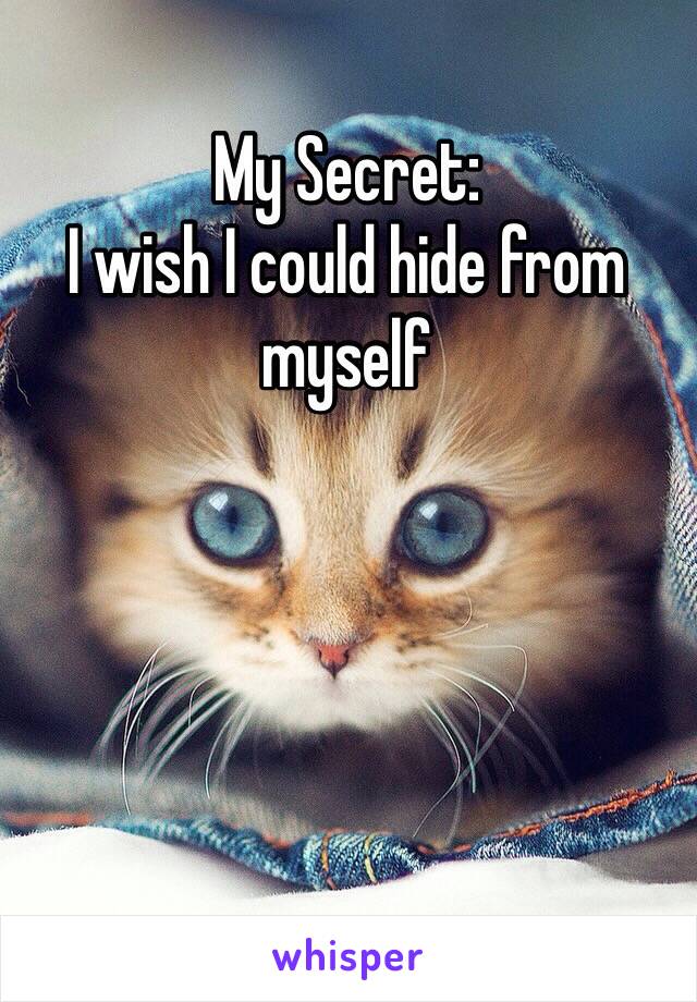 My Secret:
I wish I could hide from myself