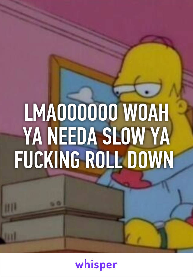 LMAOOOOOO WOAH YA NEEDA SLOW YA FUCKING ROLL DOWN 