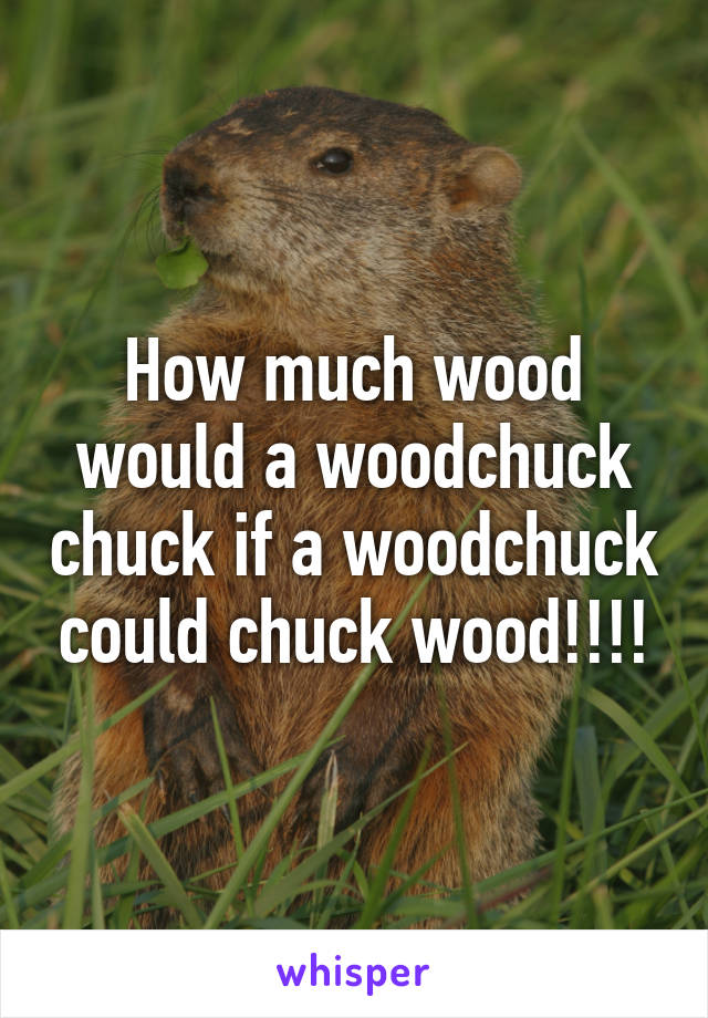 How much wood would a woodchuck chuck if a woodchuck could chuck wood!!!!