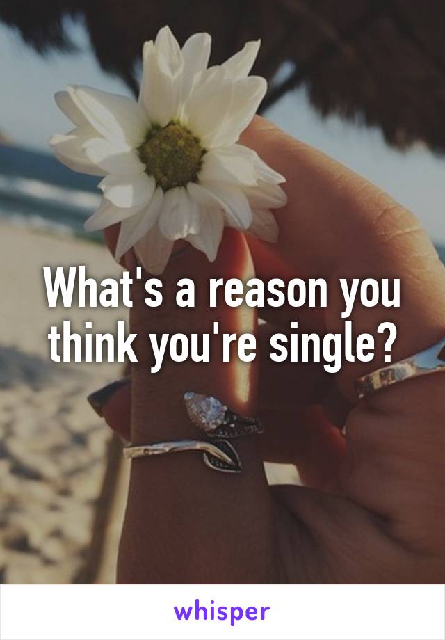 What's a reason you think you're single?