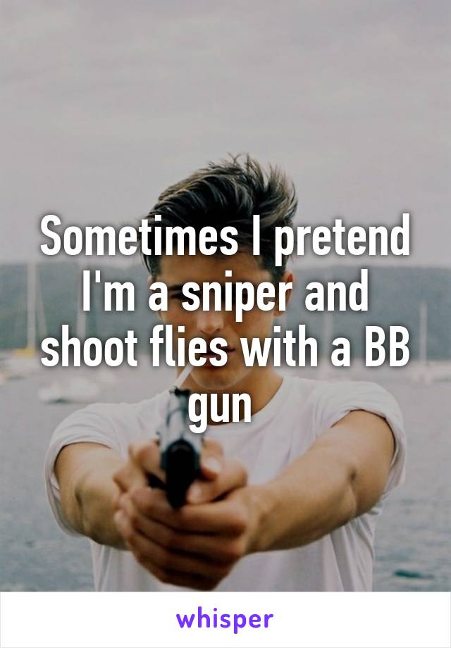 Sometimes I pretend I'm a sniper and shoot flies with a BB gun 