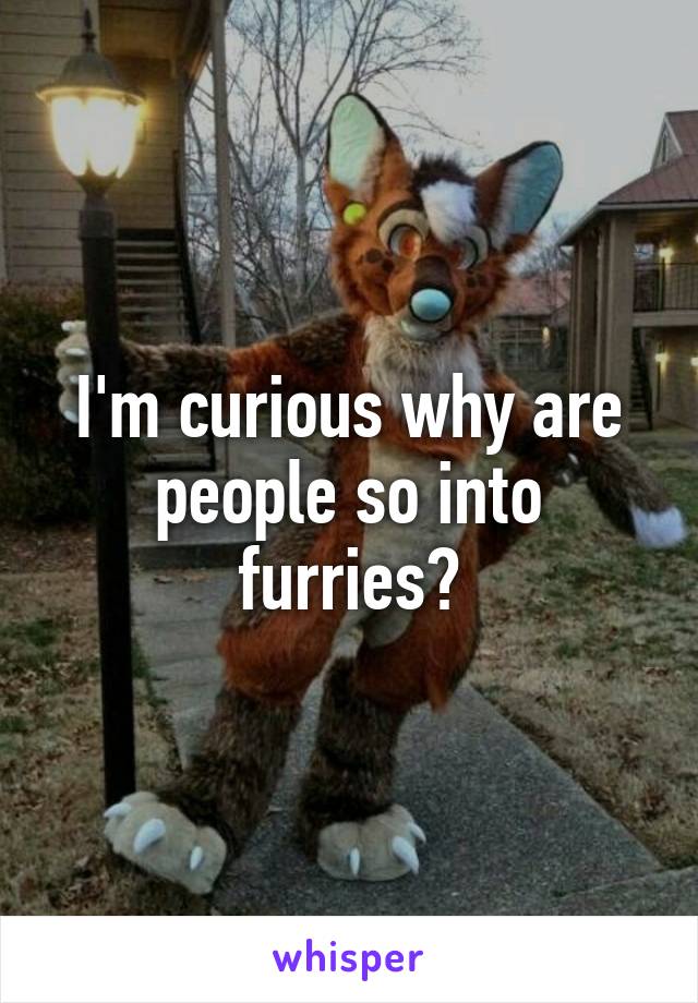 I'm curious why are people so into furries?