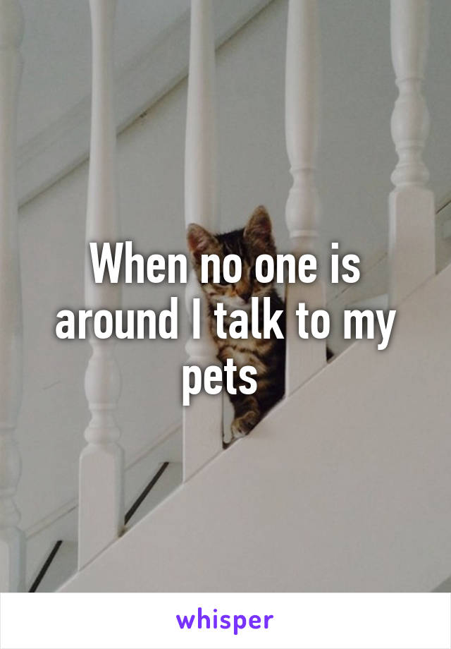 When no one is around I talk to my pets 