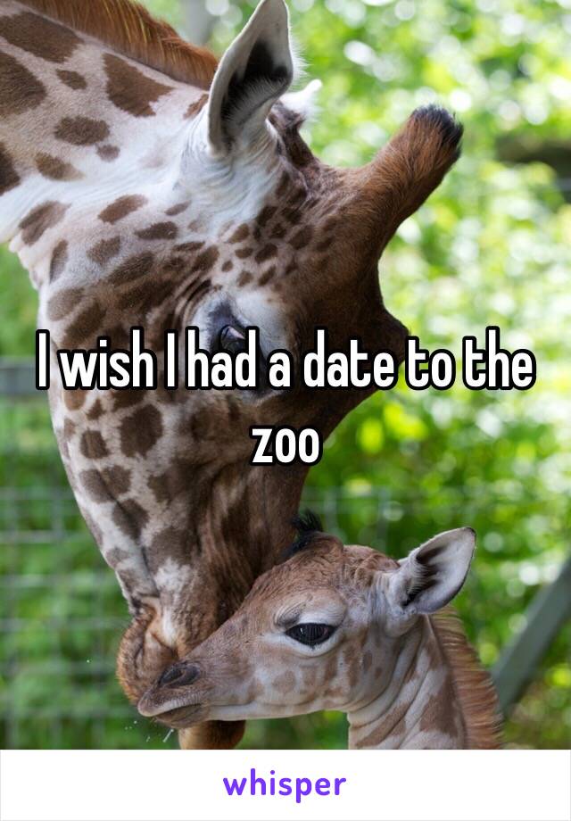 I wish I had a date to the zoo 