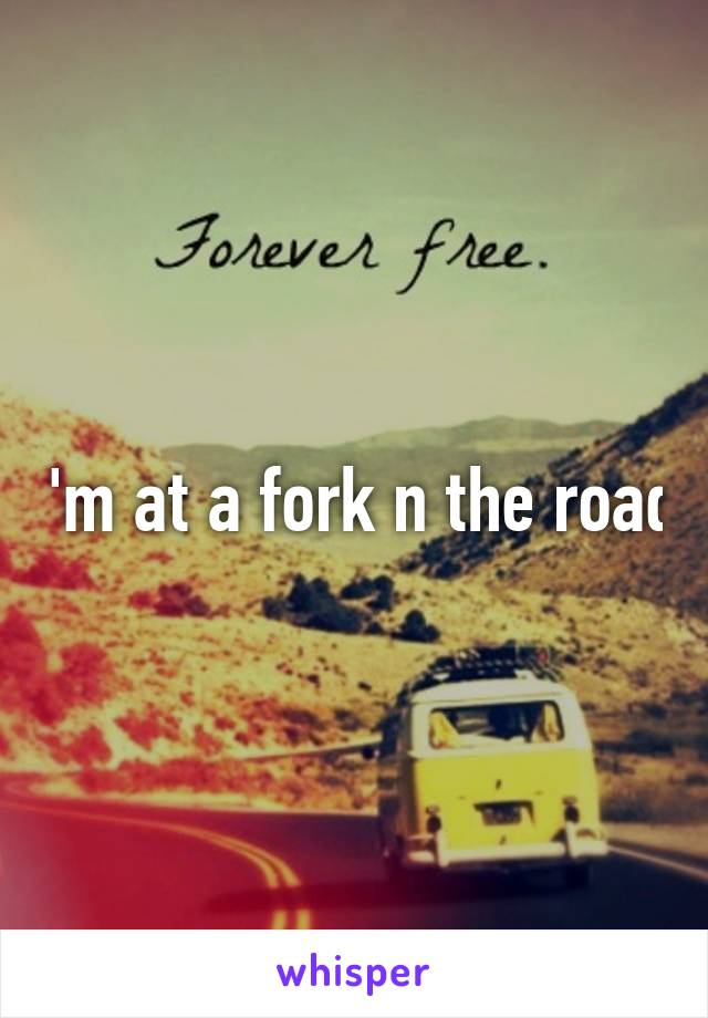 I'm at a fork n the road