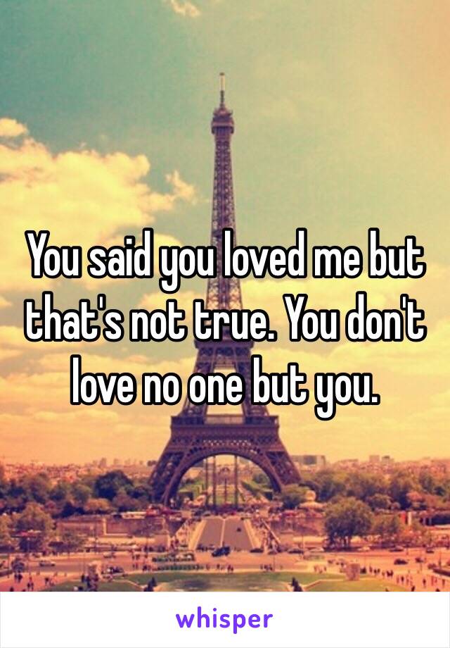 You said you loved me but that's not true. You don't love no one but you.