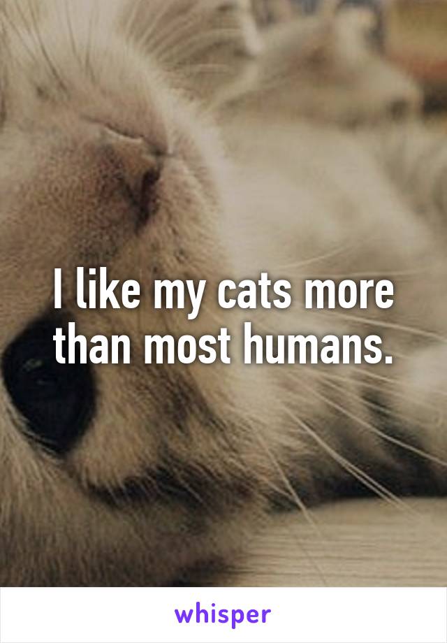 I like my cats more than most humans.