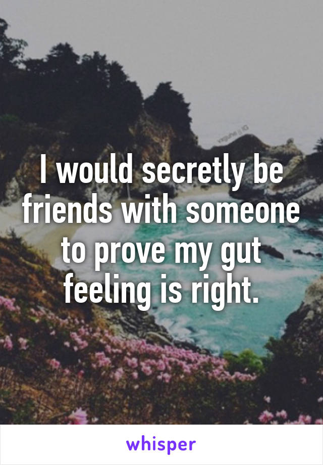 I would secretly be friends with someone to prove my gut feeling is right.