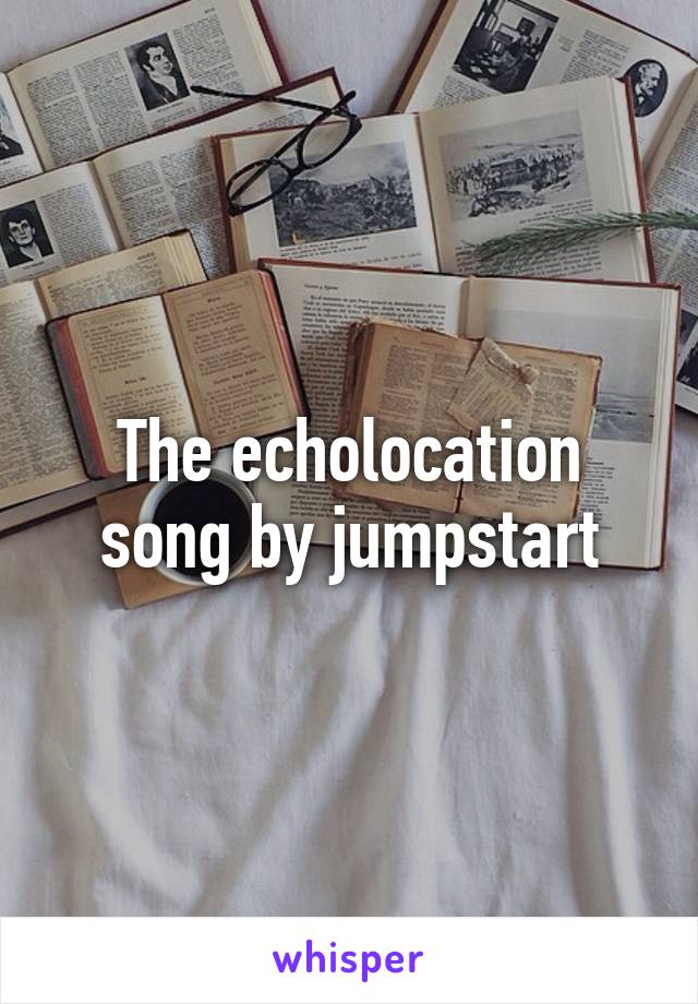 The echolocation song by jumpstart