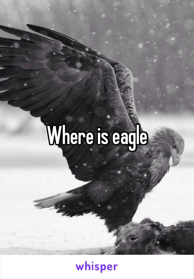 Where is eagle 