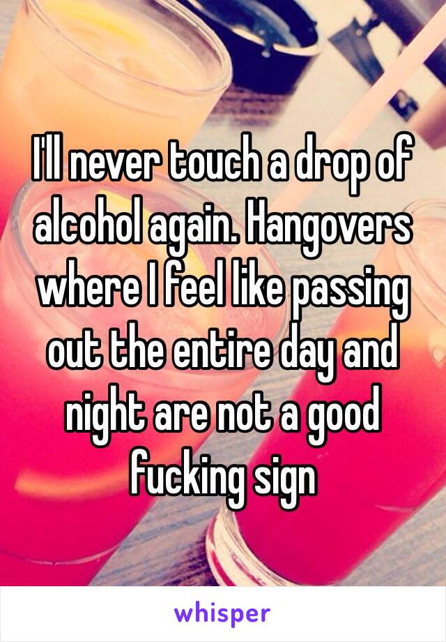 I'll never touch a drop of alcohol again. Hangovers where I feel like passing out the entire day and night are not a good fucking sign