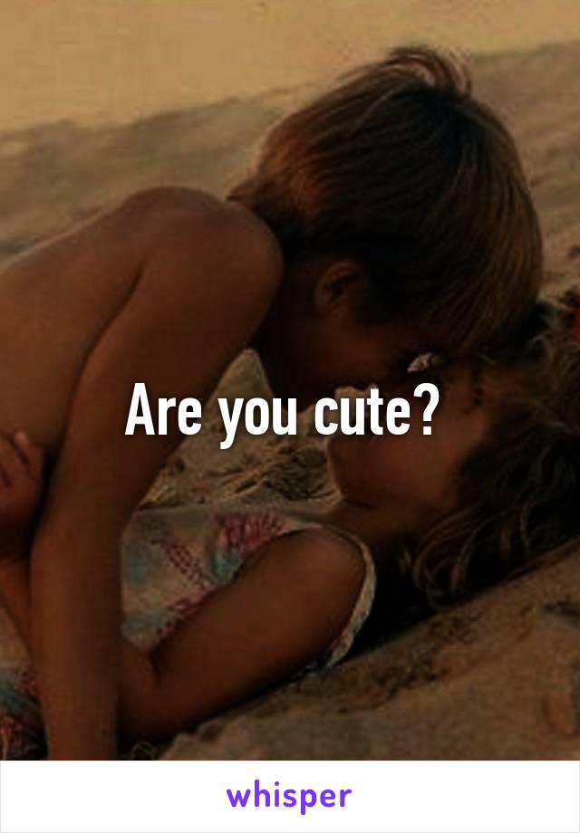 Are you cute? 