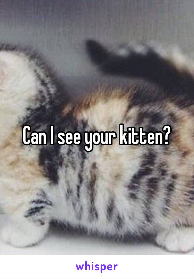 Can I see your kitten? 