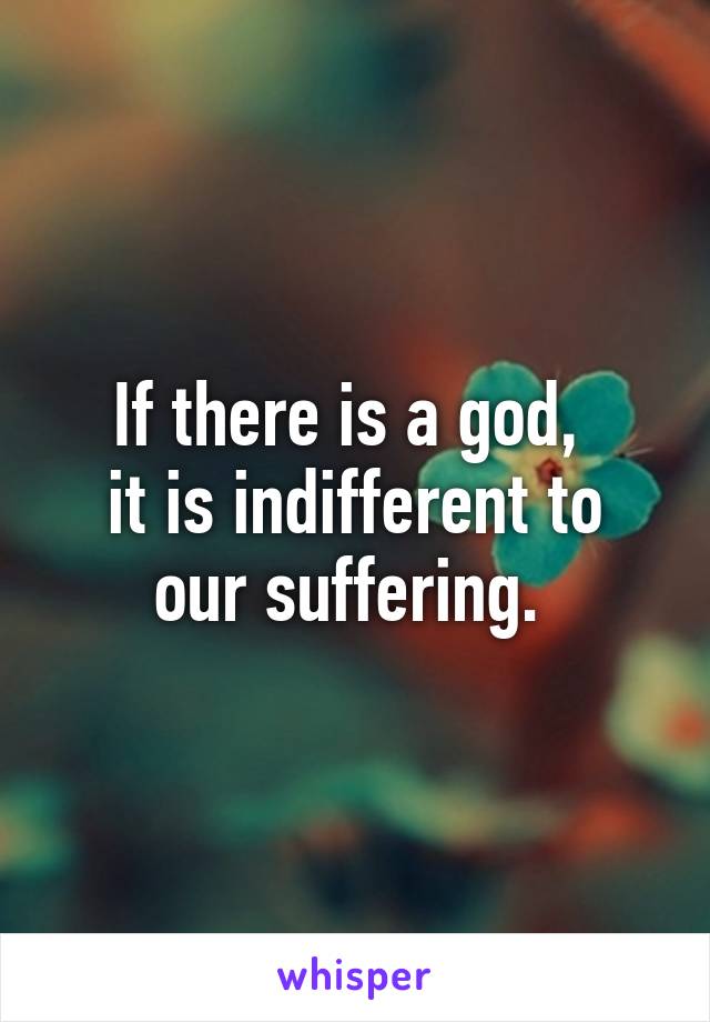 If there is a god, 
it is indifferent to
our suffering. 