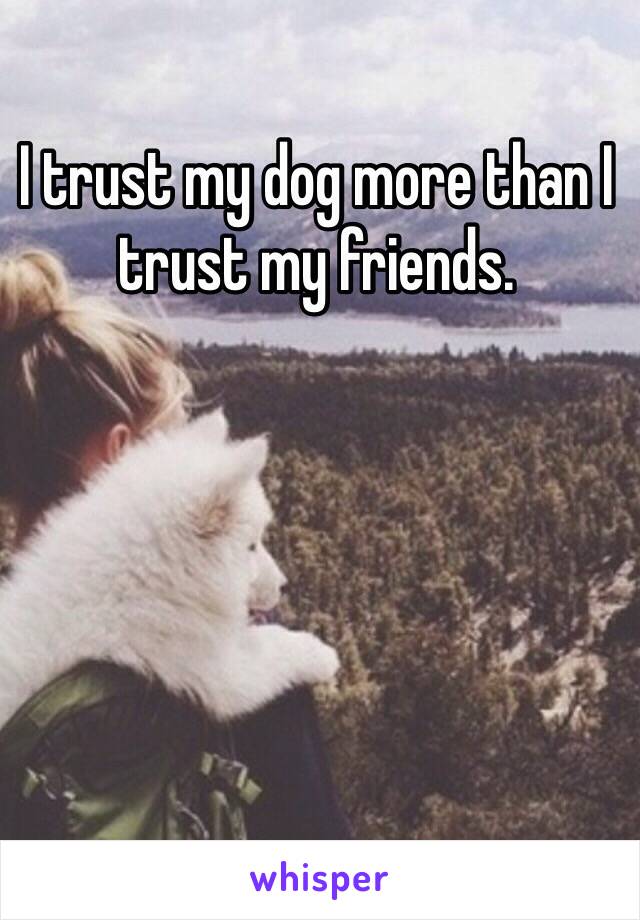 I trust my dog more than I trust my friends. 