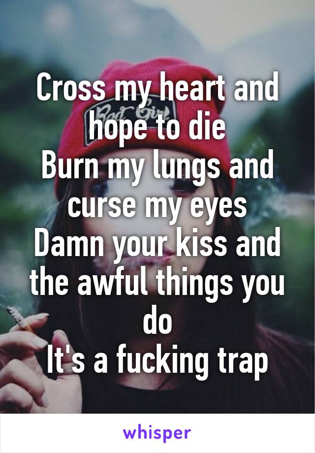 Cross my heart and hope to die
Burn my lungs and curse my eyes
Damn your kiss and the awful things you do
It's a fucking trap