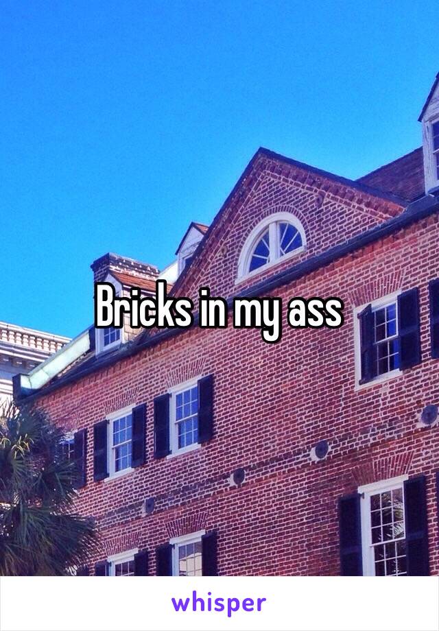 Bricks in my ass