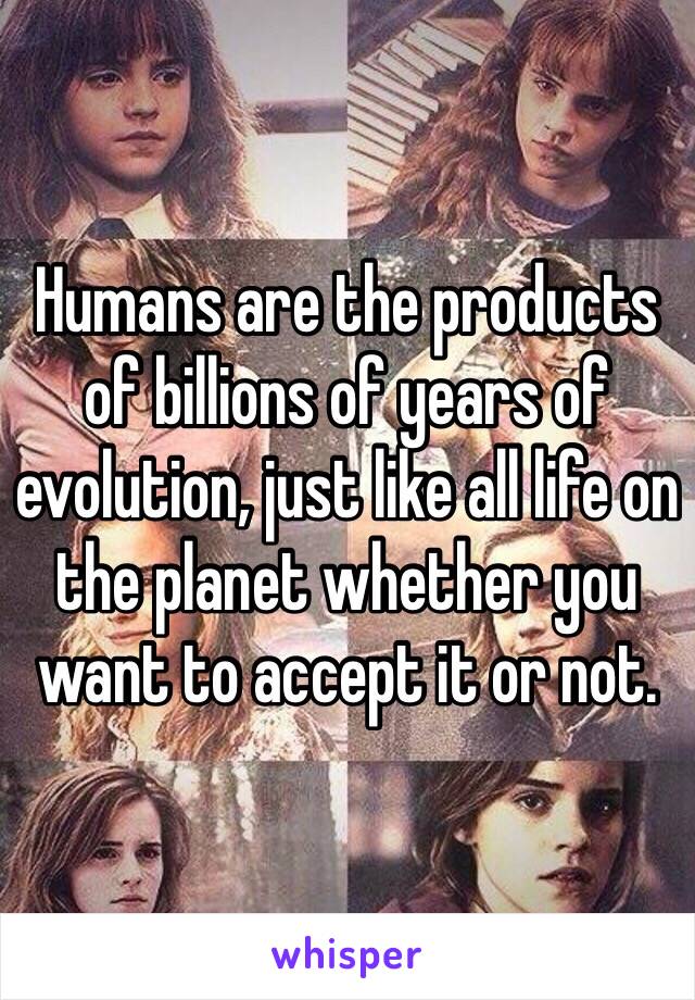 Humans are the products of billions of years of evolution, just like all life on the planet whether you want to accept it or not. 