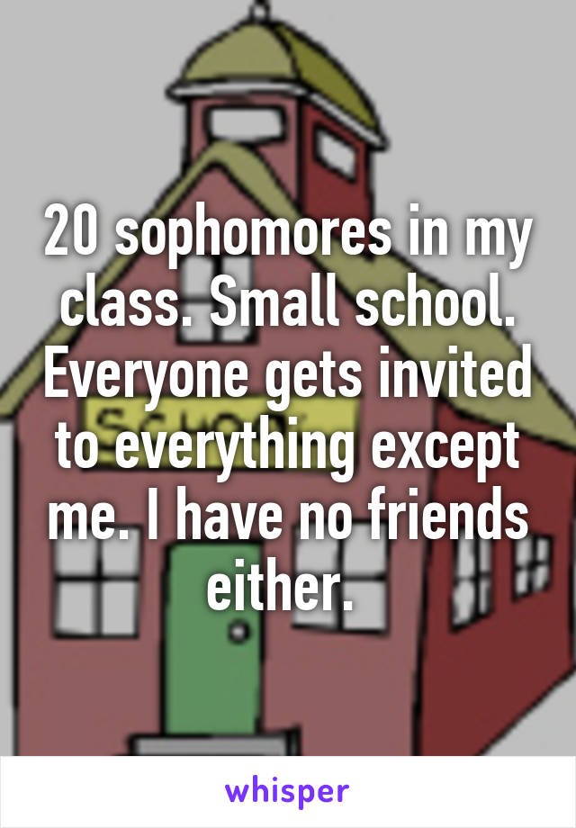 20 sophomores in my class. Small school. Everyone gets invited to everything except me. I have no friends either. 