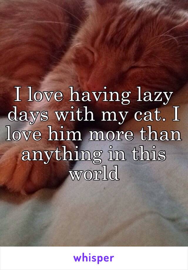 I love having lazy days with my cat. I love him more than anything in this world